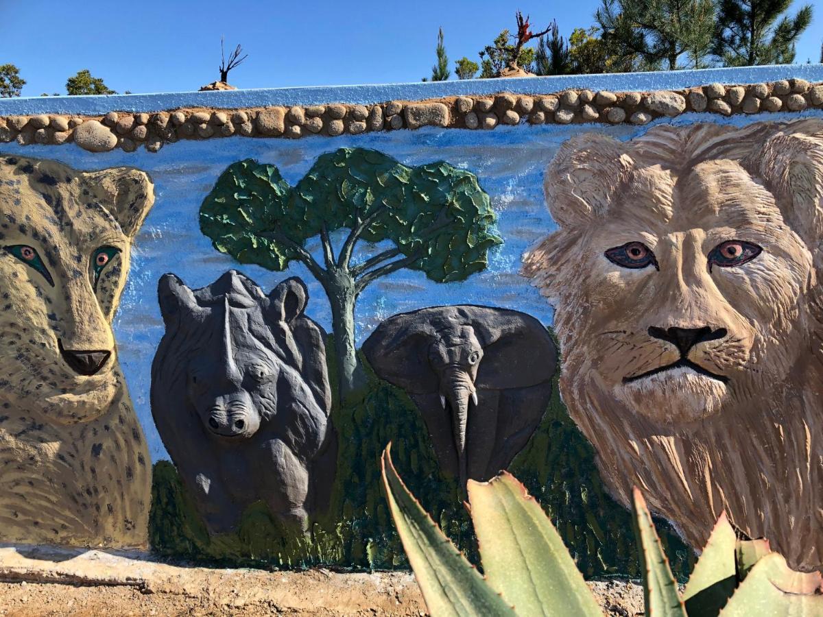 Rainforest Ridge Eco Resort The Crags المظهر الخارجي الصورة