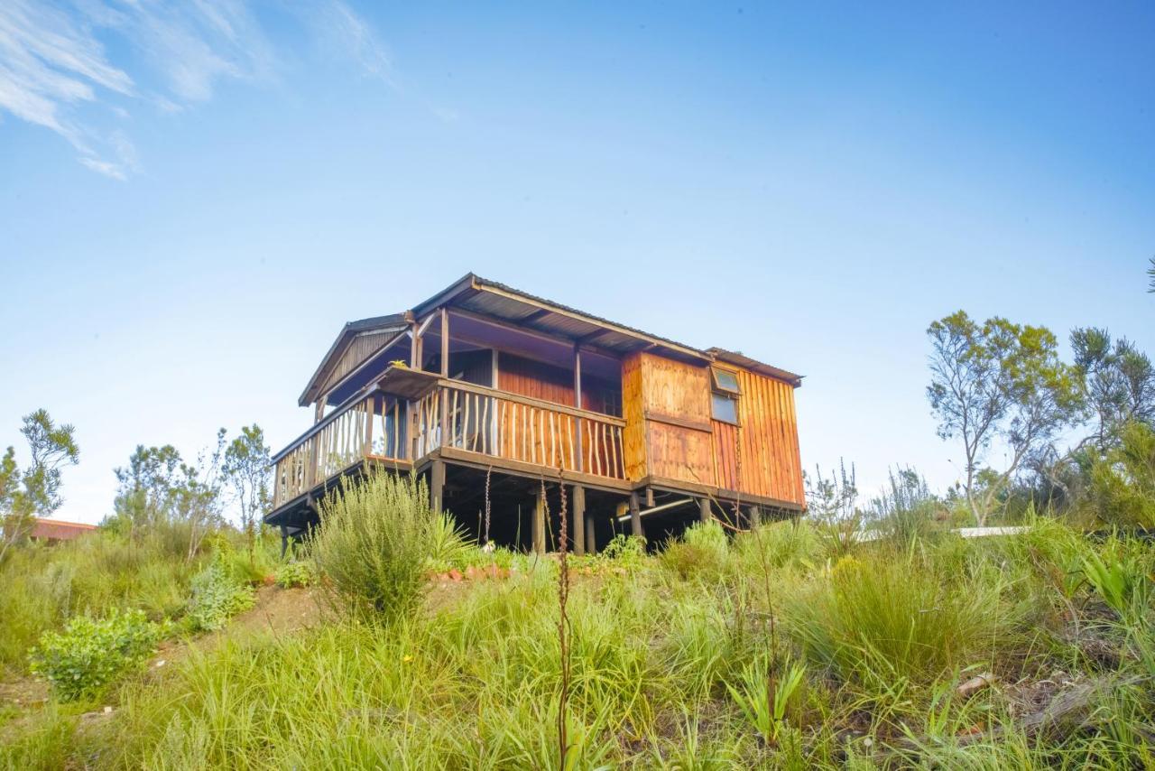 Rainforest Ridge Eco Resort The Crags المظهر الخارجي الصورة