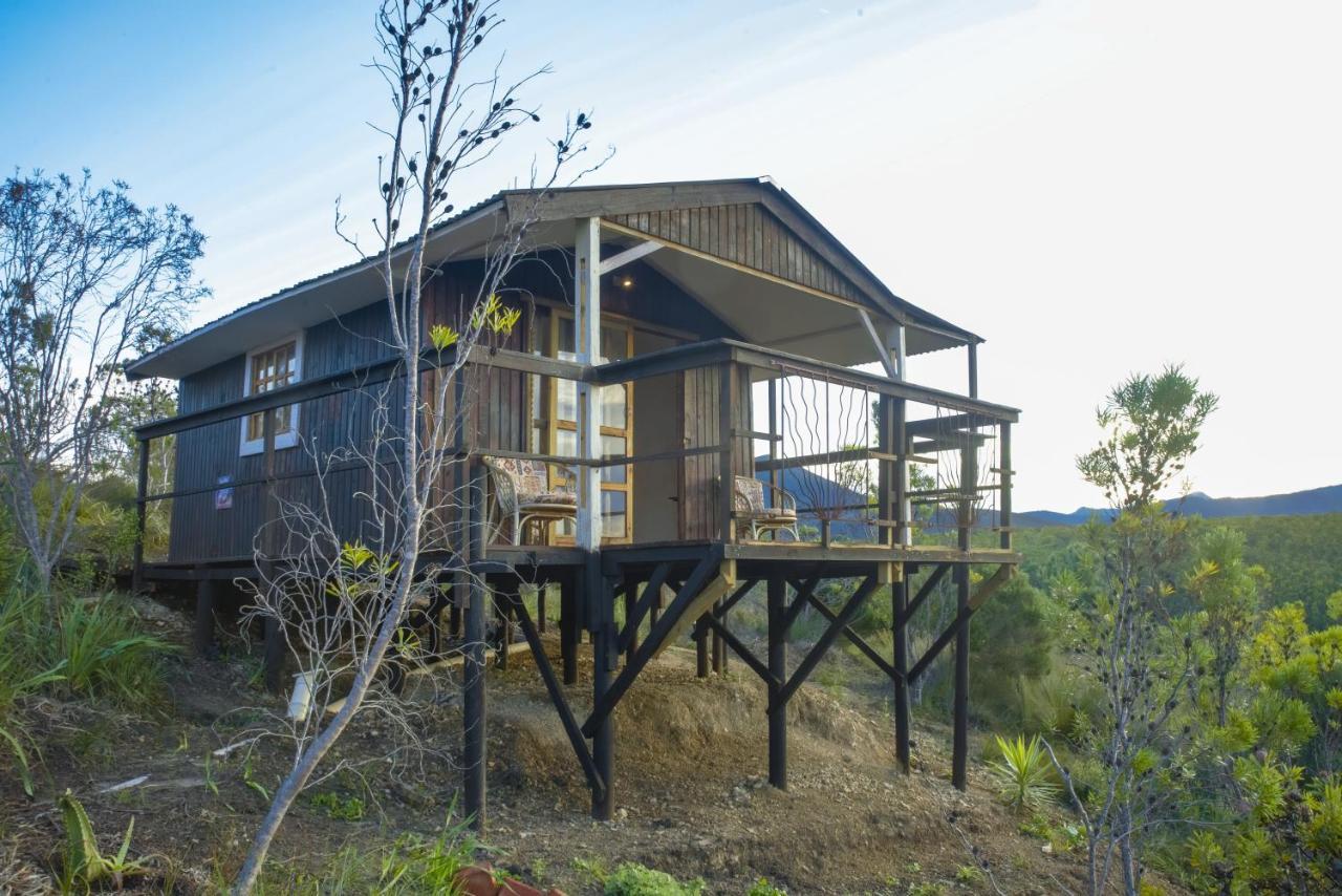 Rainforest Ridge Eco Resort The Crags المظهر الخارجي الصورة