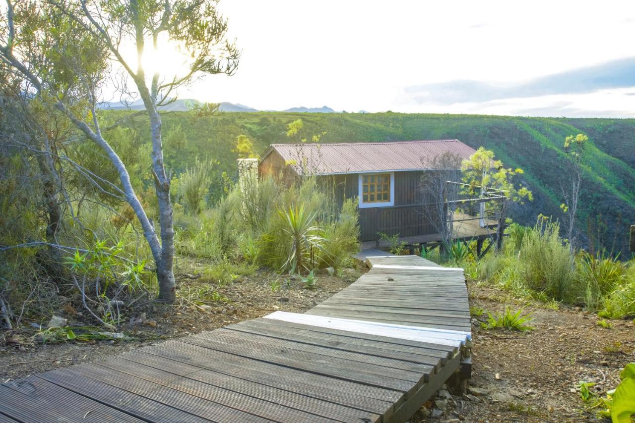 Rainforest Ridge Eco Resort The Crags المظهر الخارجي الصورة